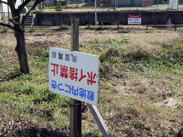 P1090038-2048.jpg