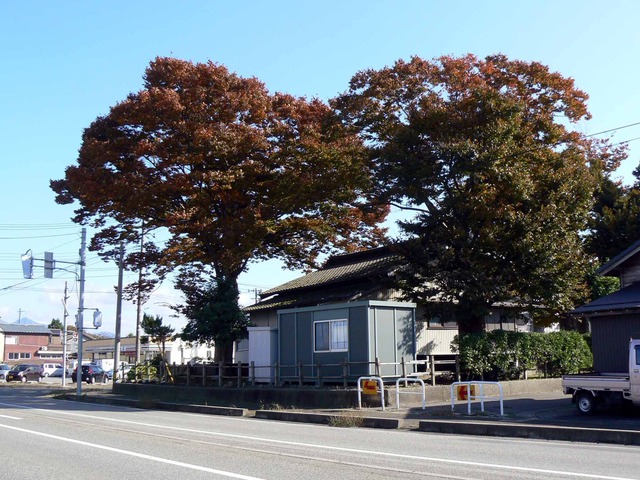 P1090047-2048.jpg