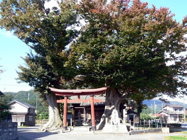 P1090051-2048.jpg