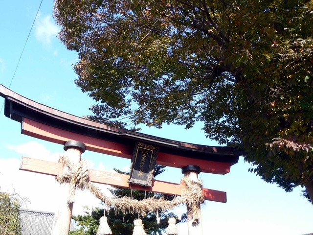 P1090058-2048.jpg