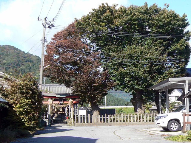 P1090061-2048.jpg