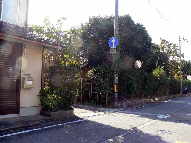 P1090070-2048.jpg