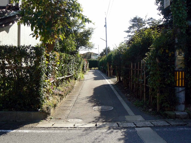 P1090071-2048.jpg