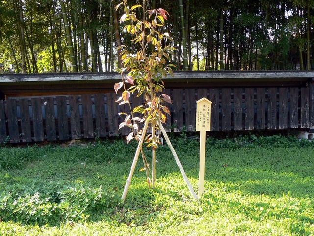 P1090087-2048.jpg