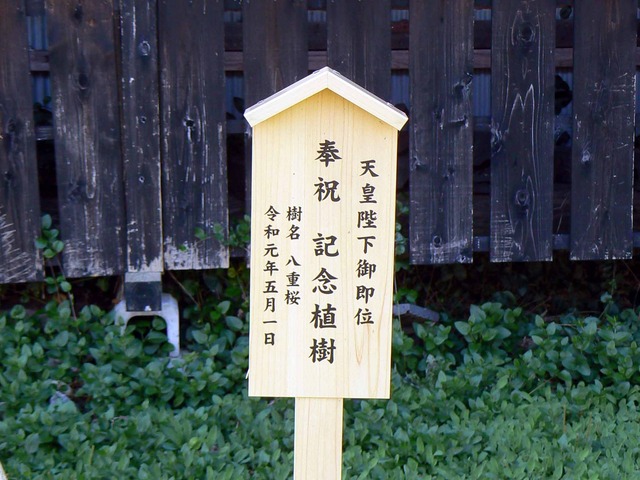 P1090088-2048.jpg