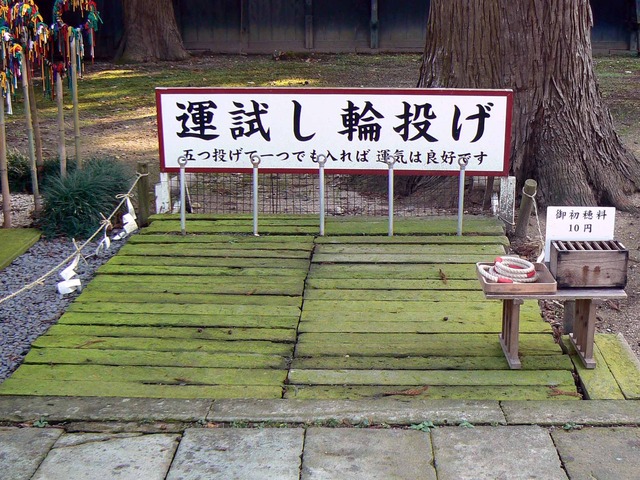 P1090103-2048.jpg