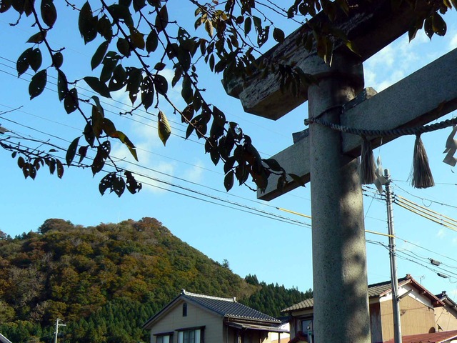 P1090112-2048.jpg