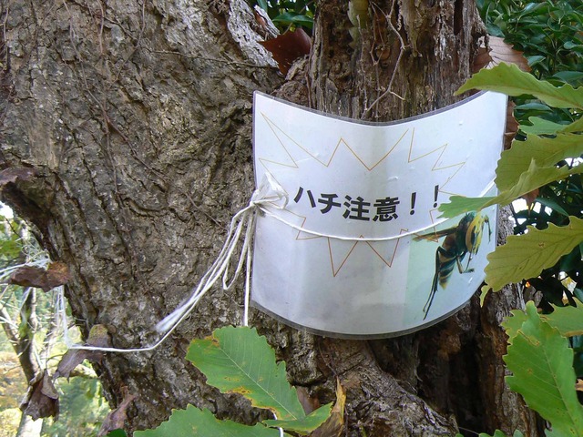 P1090149-2048.jpg