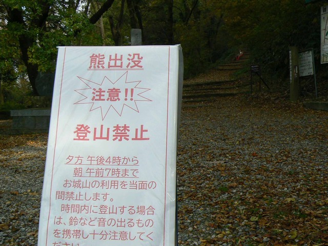 P1090181-2048.jpg