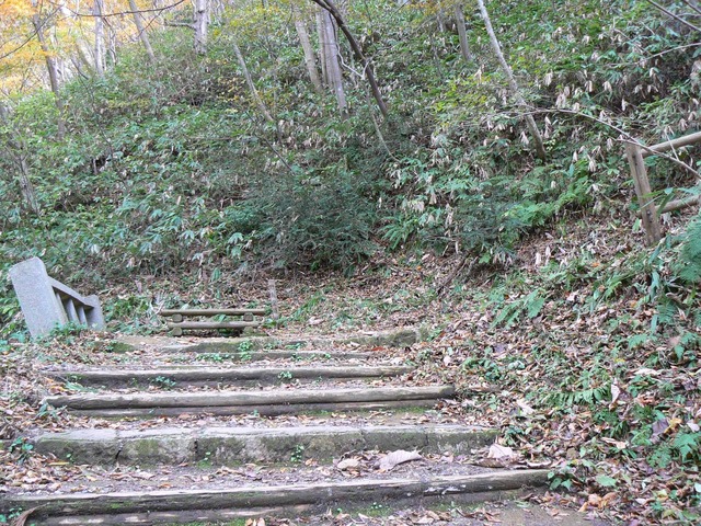 P1090198-2048.jpg