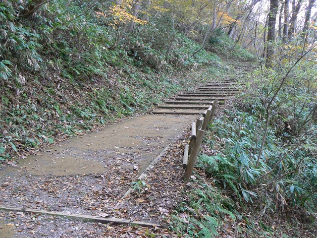 P1090199-2048.jpg