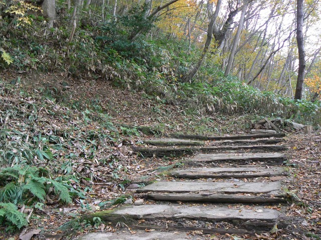 P1090200-2048.jpg