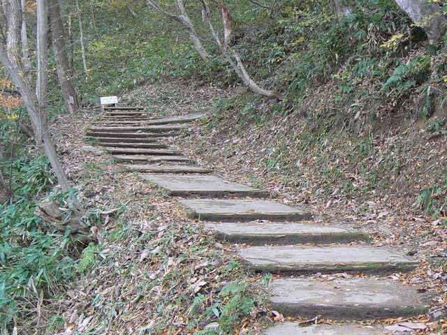 P1090201-2048.jpg