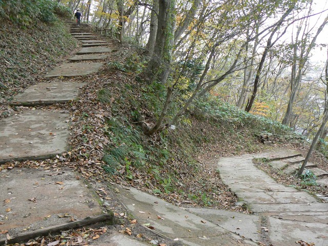 P1090206-2048.jpg