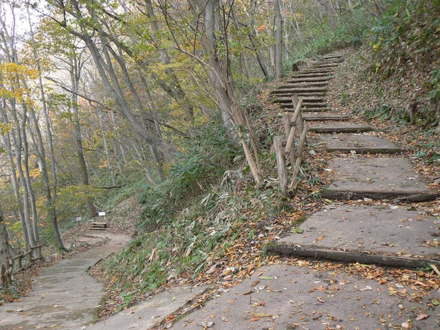 P1090210-2048.jpg
