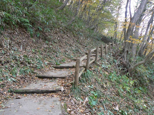 P1090211-2048.jpg