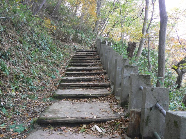 P1090213-2048.jpg