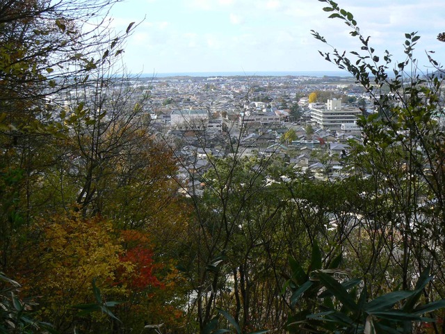 P1090215-2048.jpg