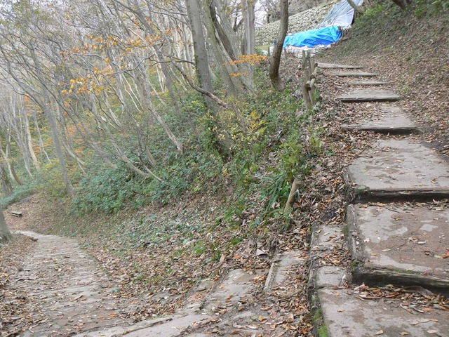 P1090220-2048.jpg