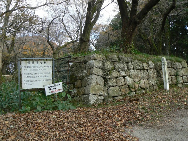 P1090223-2048.jpg