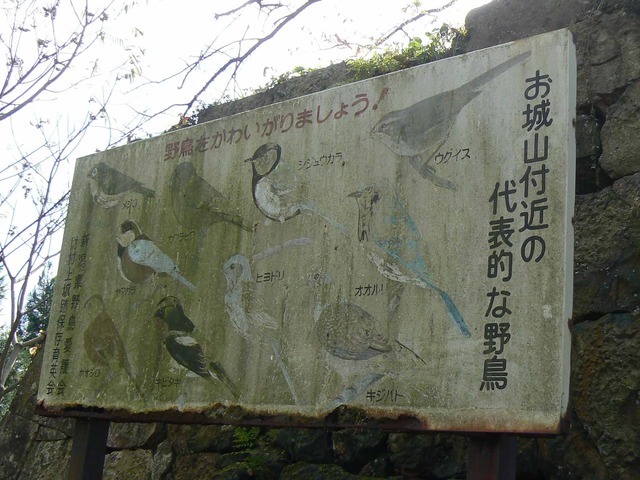 P1090231-2048.jpg