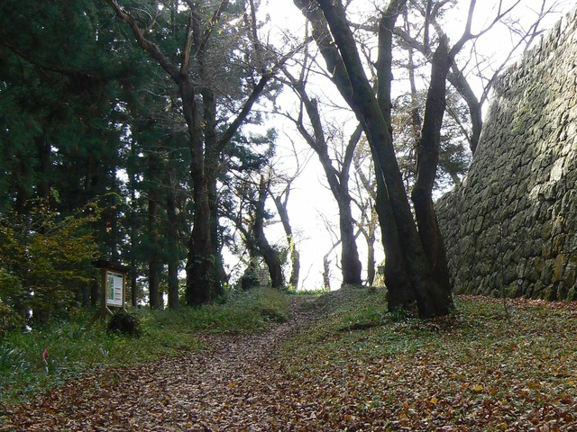 P1090236-2048.jpg