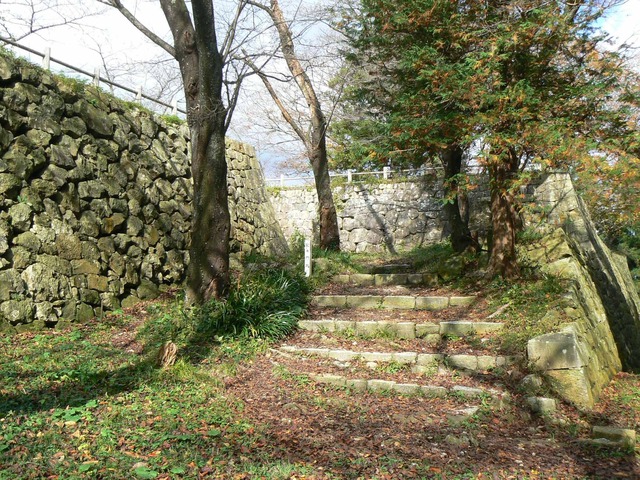 P1090239-2048.jpg