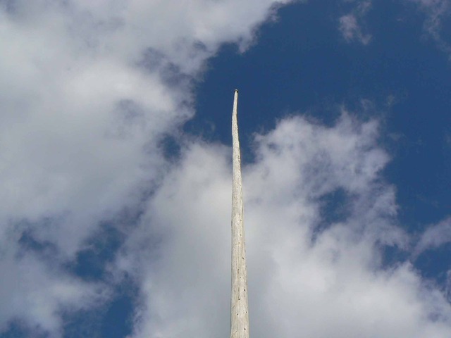 P1090255-2048.jpg