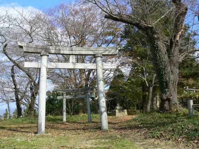 P1090275-2048.jpg