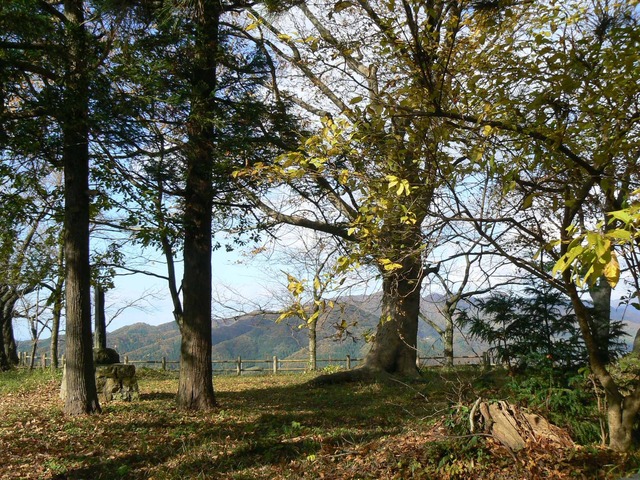 P1090280-2048.jpg