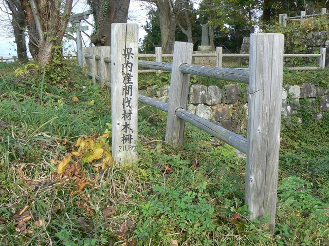 P1090301-2048.jpg