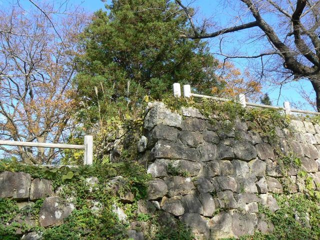 P1090302-2048.jpg