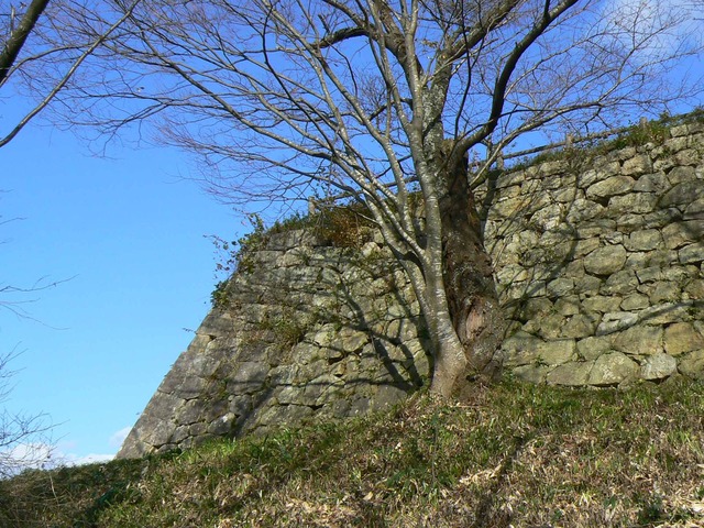 P1090307-2048.jpg