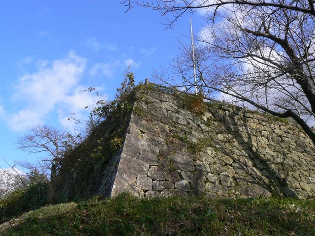 P1090308-2048.jpg