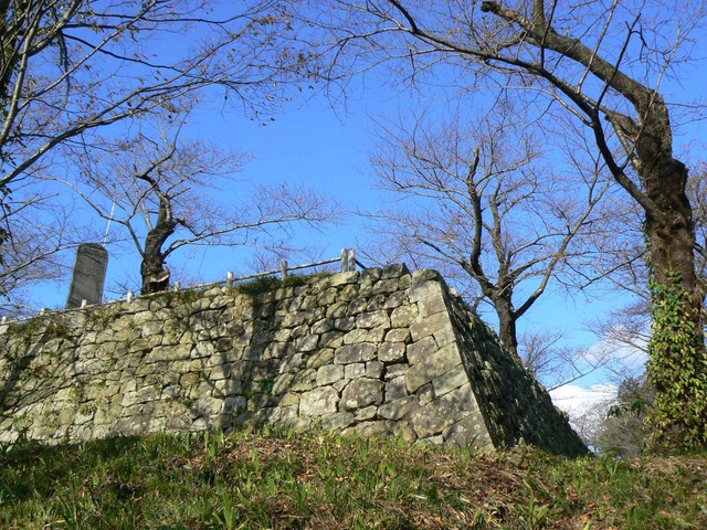 P1090316-2048.jpg