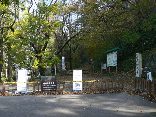 P1090330-2048.jpg