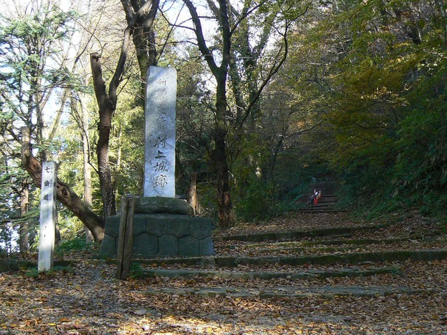 P1090338-2048.jpg