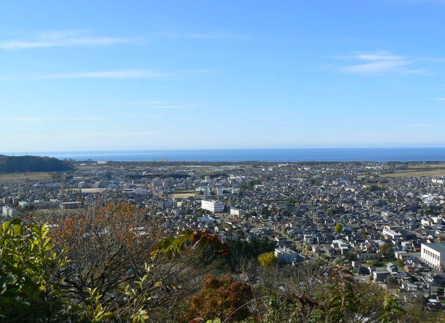 P1090339-1993.jpg