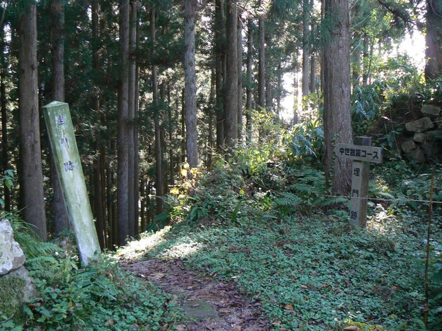 P1090390-2048.jpg