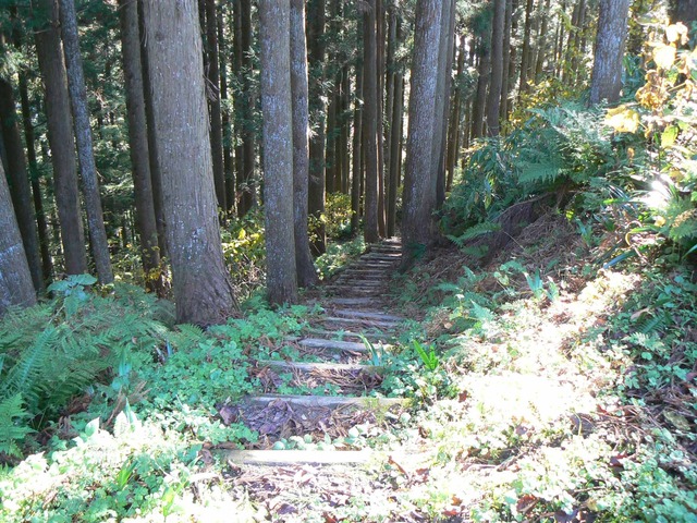 P1090392-2048.jpg