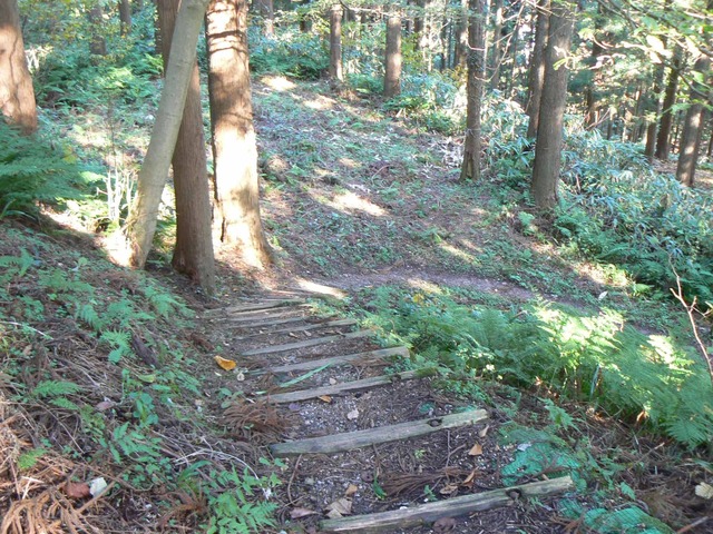 P1090394-2048.jpg