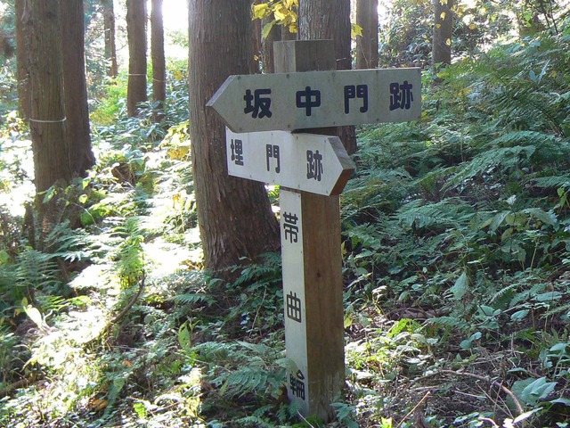 P1090396-2048.jpg