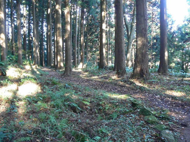 P1090400-2048.jpg