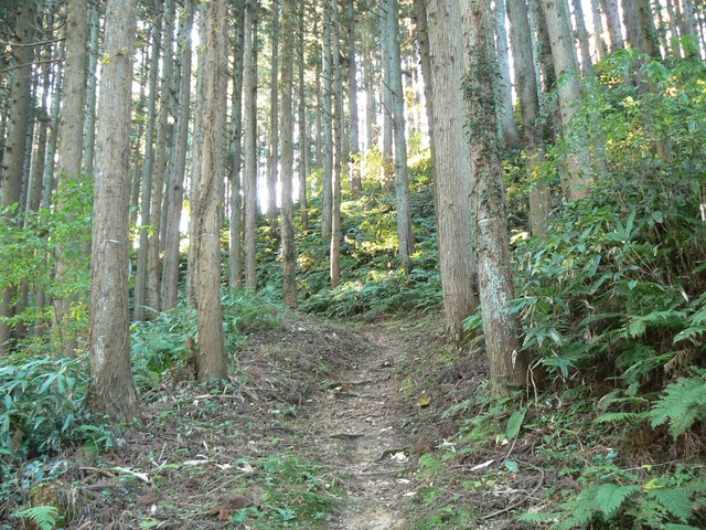 P1090406-2048.jpg