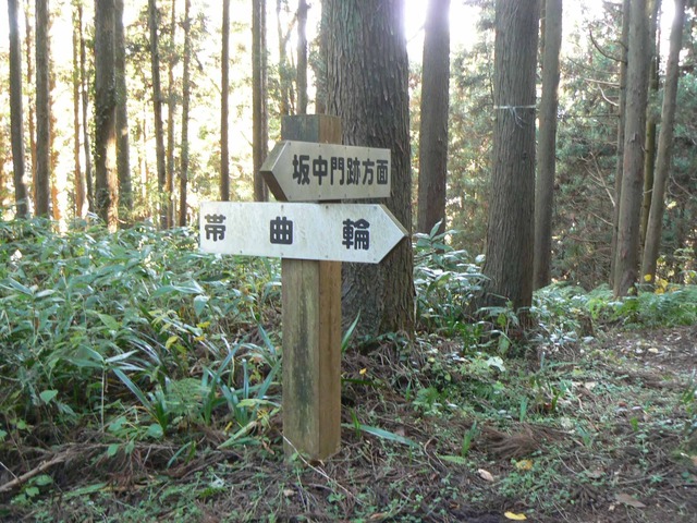 P1090411-2048.jpg
