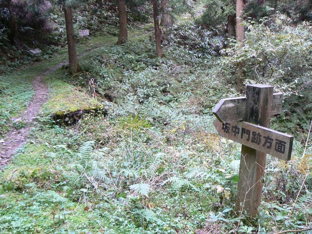P1090414-2048.jpg