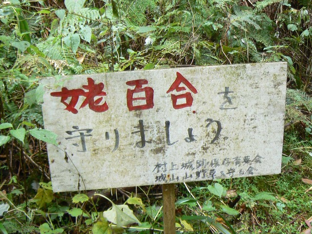 P1090416-2048.jpg