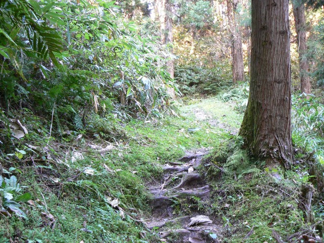 P1090417-2048.jpg