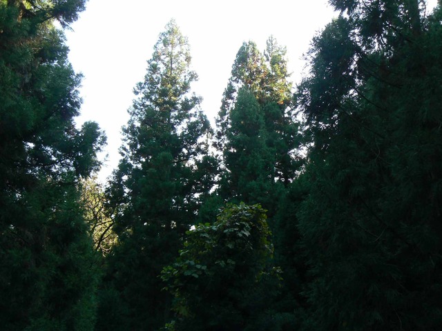 P1090419-2048.jpg