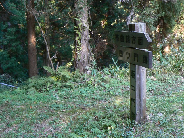P1090423-2048.jpg